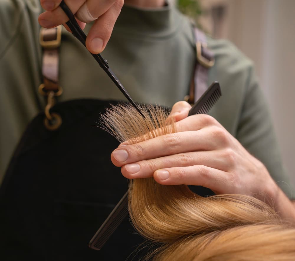 Hairdresser taking care of client's hair indoors